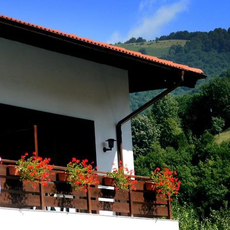 Spa Hotel Planinata Ribarica Pokoj fotografie