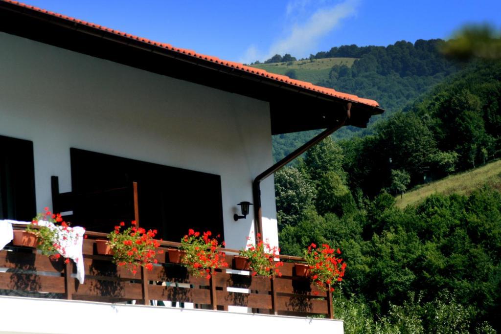 Spa Hotel Planinata Ribarica Pokoj fotografie