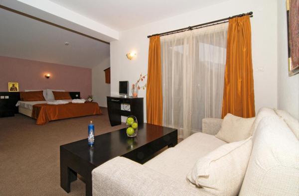 Spa Hotel Planinata Ribarica Pokoj fotografie