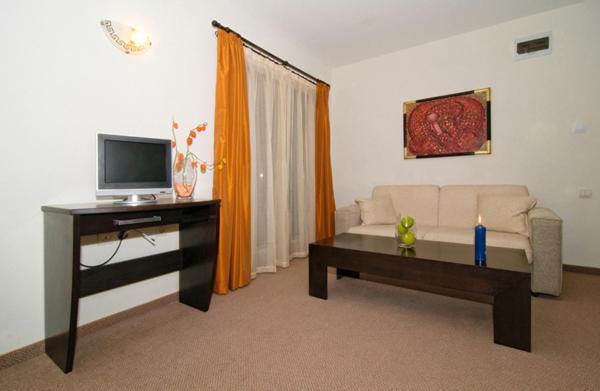 Spa Hotel Planinata Ribarica Pokoj fotografie
