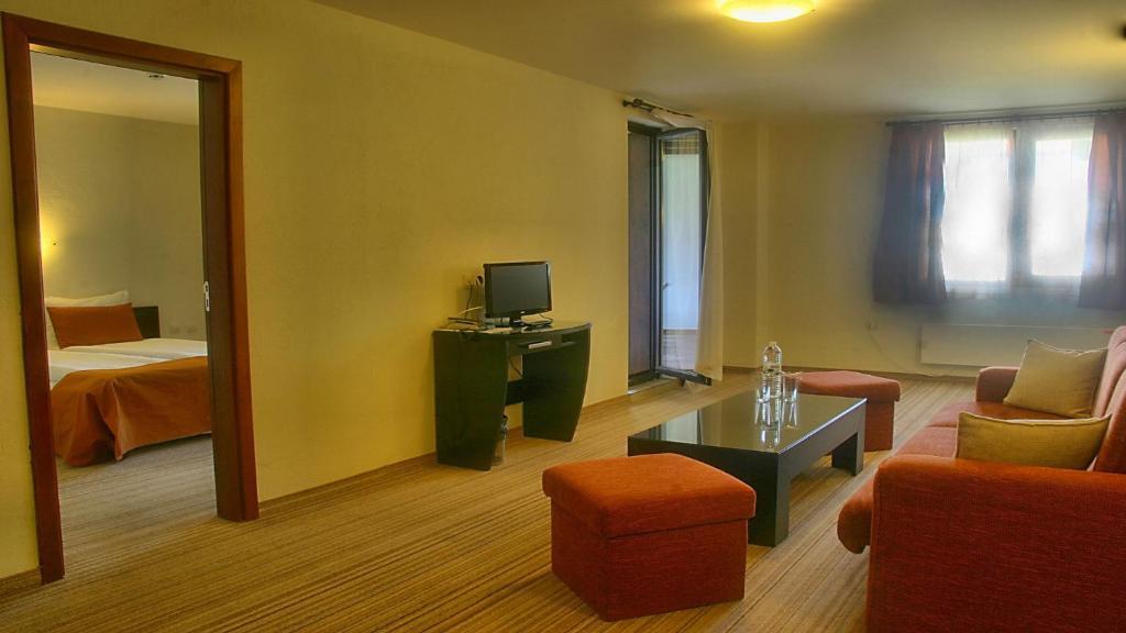 Spa Hotel Planinata Ribarica Pokoj fotografie