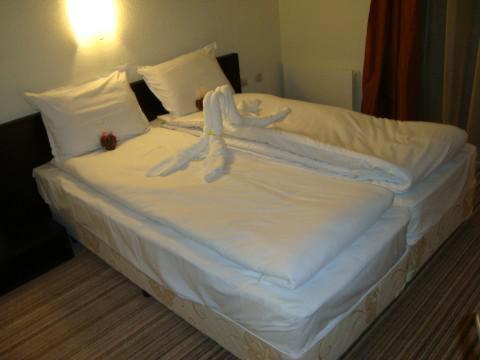 Spa Hotel Planinata Ribarica Pokoj fotografie