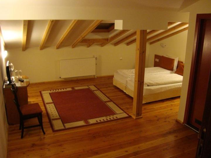 Spa Hotel Planinata Ribarica Pokoj fotografie